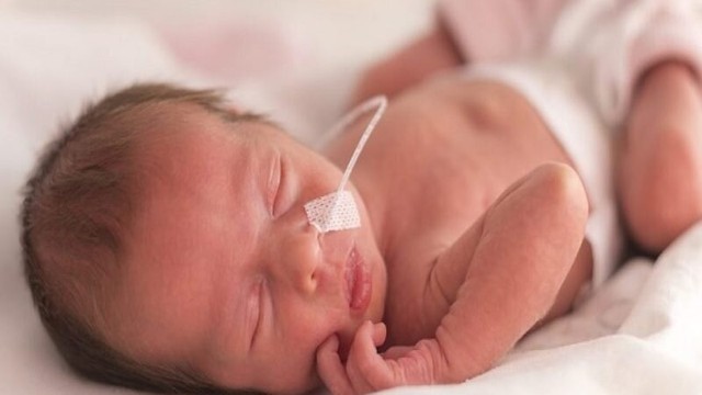 bai-viet/phac-do-gio-vang-la-gi-phep-mau-cho-tre-sinh-non.html