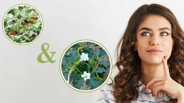 bai-viet/huong-dan-cach-phan-biet-ca-gai-leo-va-ca-doc-duoc.html