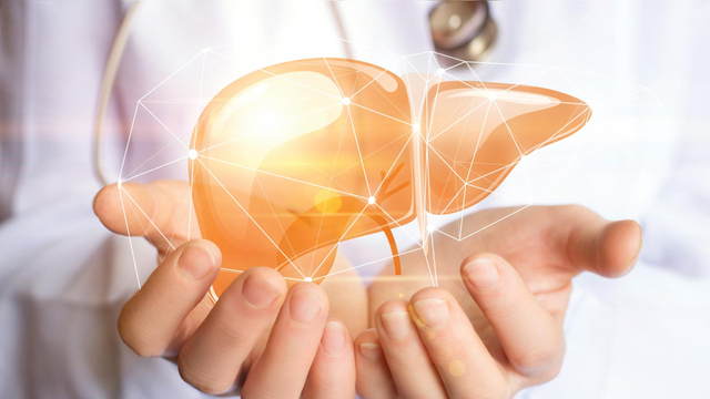 bai-viet/phan-thuy-gan-la-gi-mot-so-benh-ve-gan-pho-bien-co-the-ban-chua-biet.html