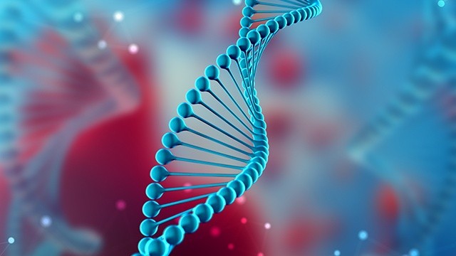 bai-viet/phan-xa-co-dieu-kien-la-gi-phan-loai-cac-dang-phan-xa-co-dieu-kien.html