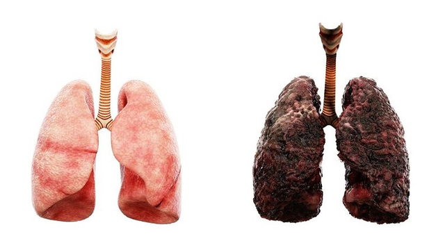 bai-viet/phoi-nguoi-hut-thuoc-la-se-bi-anh-huong-nhu-the-nao.html