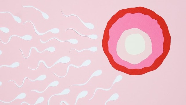 bai-viet/phong-noan-la-gi-cach-xac-dinh-trieu-chung-va-cach-xu-ly-khi-phong-noan.html