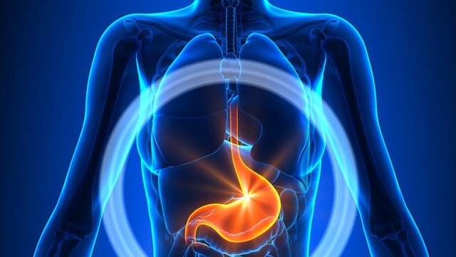 bai-viet/polyp-ong-tieu-hoa-nguyen-nhan-dieu-tri-va-cach-phong-ngua.html