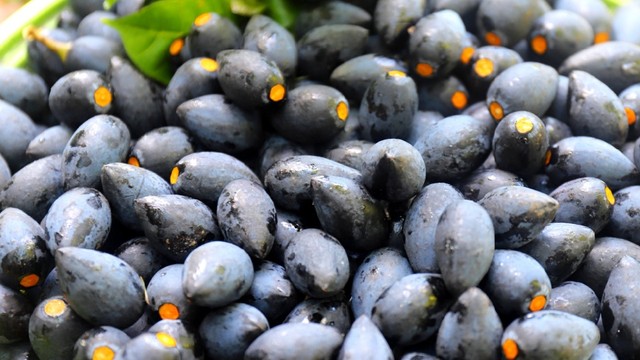 bai-viet/qua-tram-va-ca-na-co-phai-la-mot-hay-khong.html