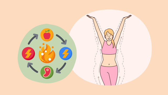 bai-viet/qua-trinh-chuyen-hoa-nang-luong-trong-co-the.html