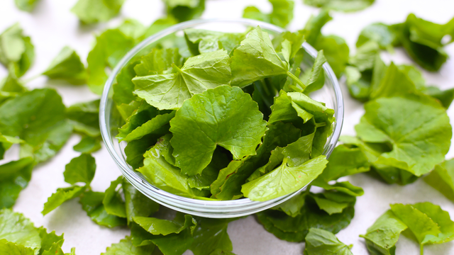 bai-viet/rau-ma-ky-voi-gi-cach-an-uong-rau-ma-an-toan.html