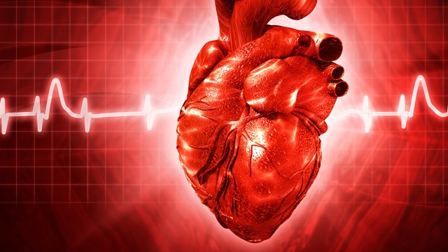 bai-viet/roi-loan-nhip-tim-o-tre-em-nguyen-nhan-trieu-chung-chan-doan-va-dieu-tri.html