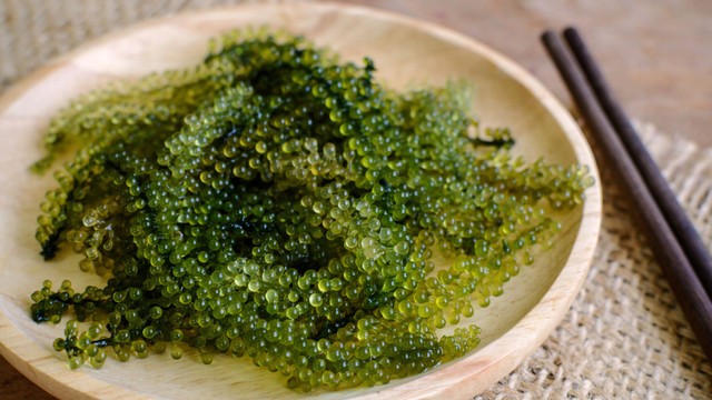 bai-viet/rong-nho-tac-dung-doi-voi-suc-khoe-va-nhung-luu-y-can-biet.html