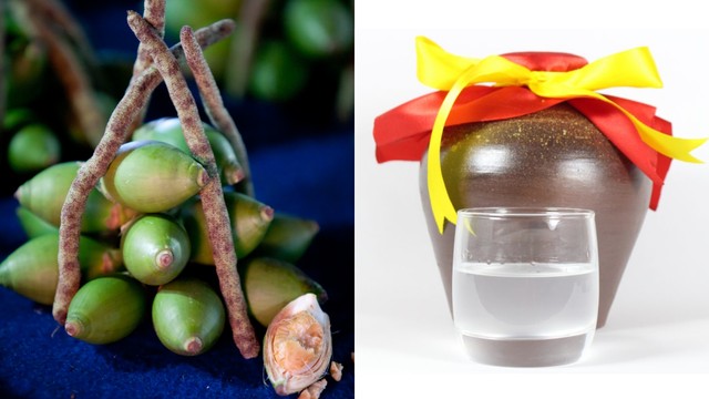 bai-viet/ruou-ngam-hat-cau-co-tac-dung-gi-doi-voi-suc-khoe.html