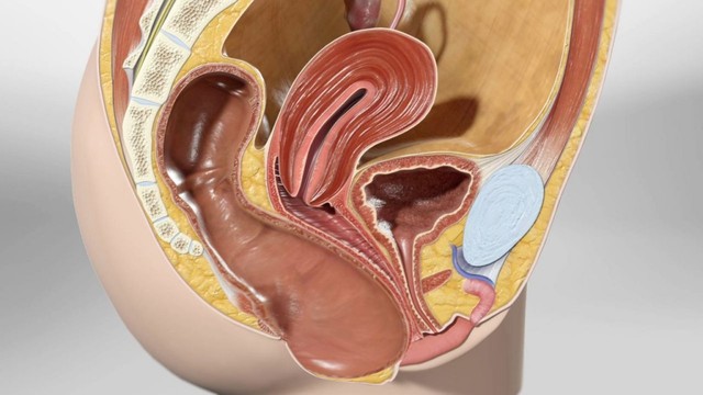 bai-viet/sa-truc-trang-kieu-tui-la-gi-trieu-chung-va-cach-dieu-tri.html