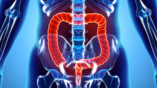 bai-viet/sa-truc-trang-va-tri-co-giong-nhau-khong-cach-phan-biet.html