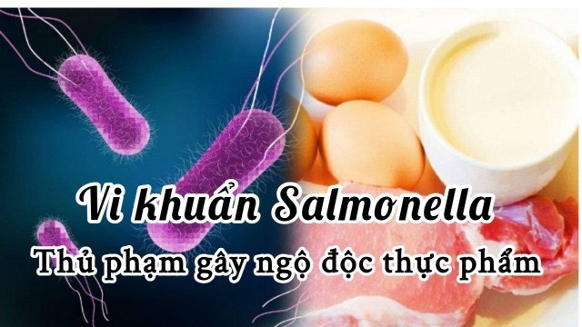 bai-viet/salmonella-trong-thuc-pham-nguy-hiem-nhu-the-nao-nen-xu-tri-ra-sao-66116.html
