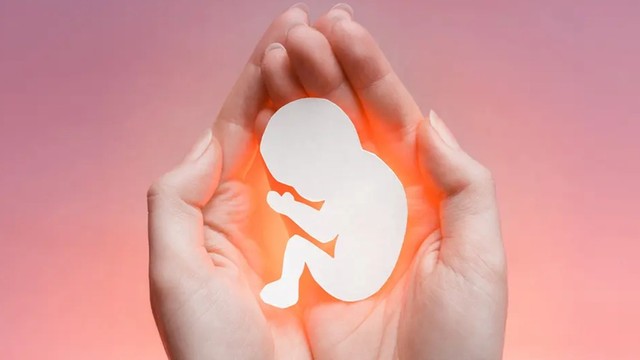 bai-viet/say-thai-nhiem-khuan-la-gi-phong-ngua-say-thai-nhiem-khuan-the-nao.html