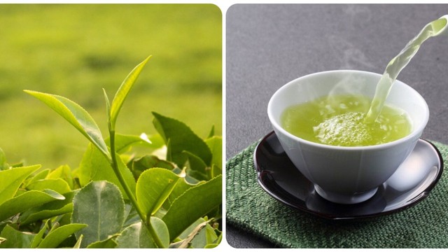 bai-viet/phai-lam-gi-khi-bi-say-tra.html