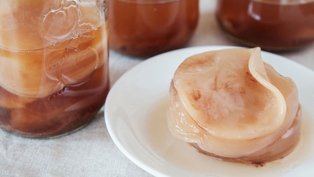 bai-viet/scoby-la-gi-tac-dung-va-cach-nuoi-scoby-tai-nha.html