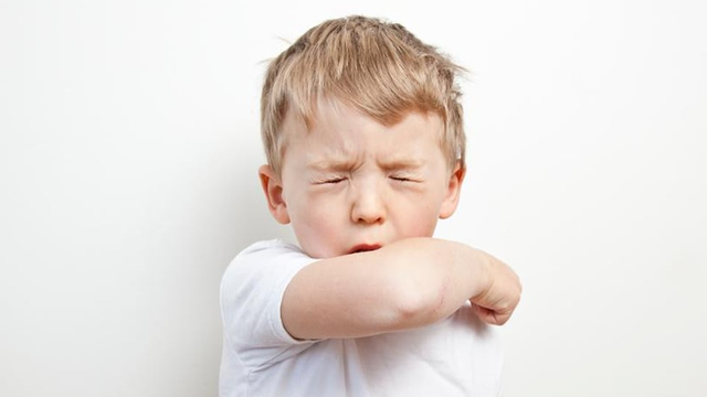 bai-viet/siro-ho-otosan-fortuss-cough-syrup-lam-diu-con-ho-tan-dom-va-bao-ve-niem-mac.html