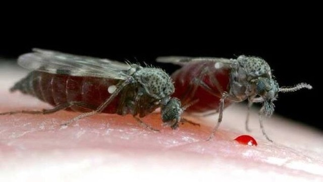 bai-viet/bu-mat-la-con-gi-khi-bi-bu-mat-can-phai-lam-sao.html