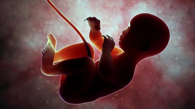 bai-viet/chan-doan-thai-luu-nhu-the-nao-cho-chinh-xac.html