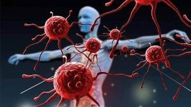 bai-viet/chua-roi-loan-than-kinh-thuc-vat-bang-cac-phuong-phap-nao-72415.html