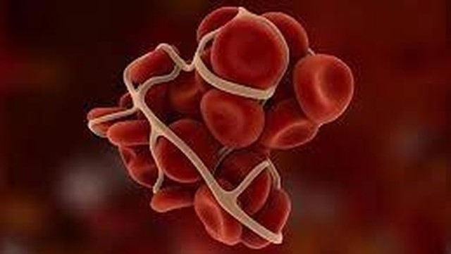 bai-viet/tat-tan-tat-thoi-gian-dong-mau-la-bao-lau.html