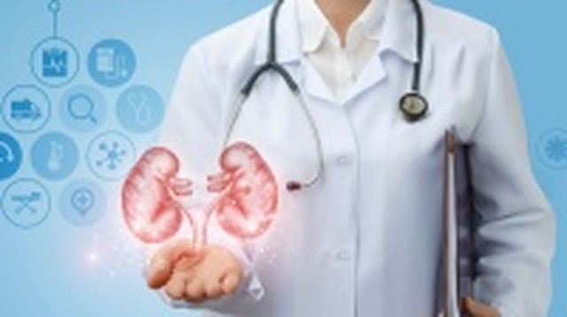 bai-viet/ngoai-tiet-nieu-la-gi-kham-ngoai-tiet-nieu-gom-nhung-gi.html