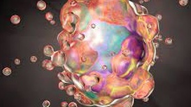 bai-viet/tim-hieu-nhung-thong-tin-ban-can-biet-ve-thoai-hoa-va-hoai-tu-te-bao.html