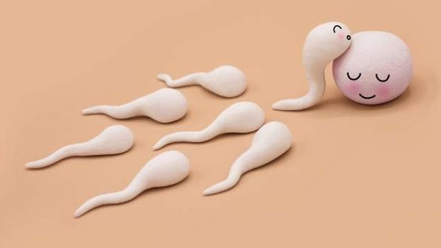 bai-viet/tinh-trung-gap-trung-nhu-the-nao-nhung-dau-hieu-cho-thay-tinh-trung-gap-trung-thanh-cong.html