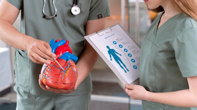 bai-viet/so-do-cau-tao-vong-tuan-hoan-mau-o-nguoi.html