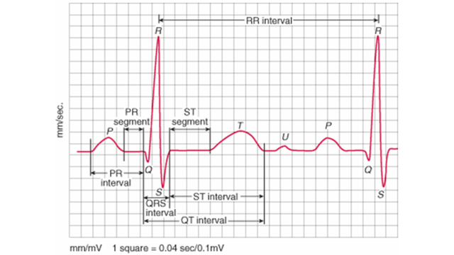 bai-viet/song-p-la-gi-cac-dang-song-p-trong-dien-tam-do.html