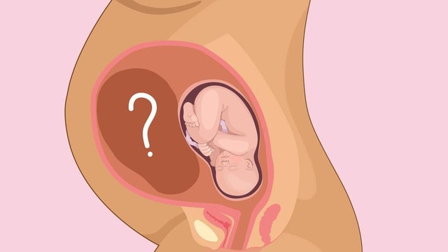 bai-viet/song-thai-3-thang-dau-co-1-thai-ngung-phat-trien-nguyen-nhan-va-cach-xu-ly.html