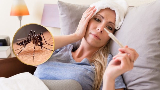 bai-viet/sot-xuat-huyet-lay-giai-doan-nao-phong-ngua-lay-sot-xuat-huyet-hieu-qua.html