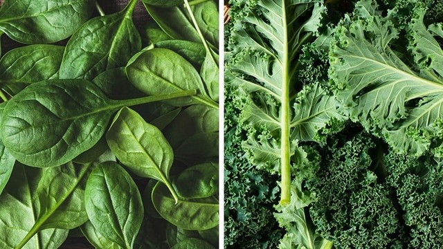 bai-viet/dinh-duong-cua-rau-bina-va-cai-xoan-giong-va-khac-nhau-nhu-the-nao.html