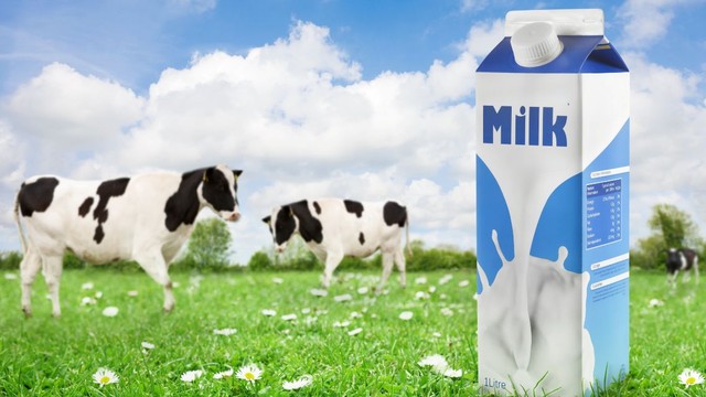 bai-viet/sua-hoan-nguyen-la-gi-uu-diem-han-che-va-luu-y-khi-su-dung.html