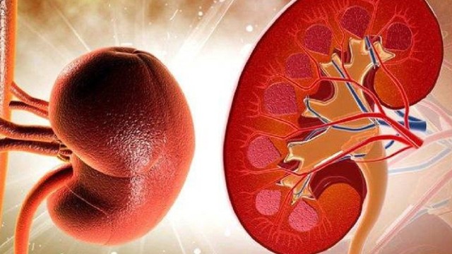 bai-viet/suy-than-do-2-dau-hieu-nhan-biet-chan-doan-dieu-tri-va-cham-soc-benh-nhan.html