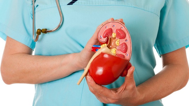 bai-viet/suy-than-do-3-trieu-chung-cach-chan-doan-va-phuong-phap-dieu-tri.html