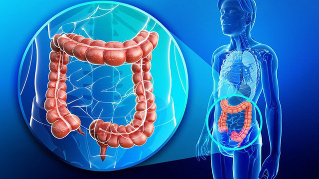 bai-viet/tac-dong-cua-bmi-den-nguy-co-ung-thu-dai-truc-trang-o-chau-a.html