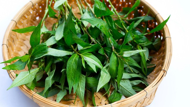 bai-viet/tac-dung-cua-rau-ram-voi-dan-ong-la-gi-su-that-ve-rau-ram-gay-yeu-sinh-ly.html