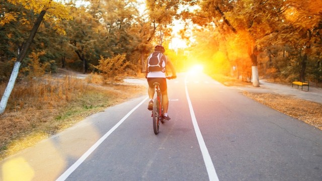 bai-viet/tac-dung-cua-viec-dap-xe-dap-buoi-sang-ban-khong-nen-bo-qua.html