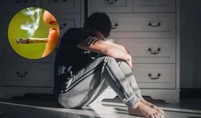 bai-viet/tac-hai-cua-can-sa-khi-su-dung-trong-thoi-gian-ngan-va-thoi-gian-dai-64080.html