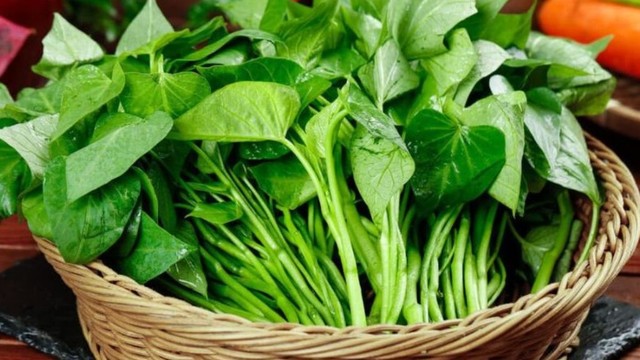 bai-viet/mot-so-tac-hai-cua-rau-lang-va-cach-an-rau-lang-de-dam-bao-suc-khoe.html