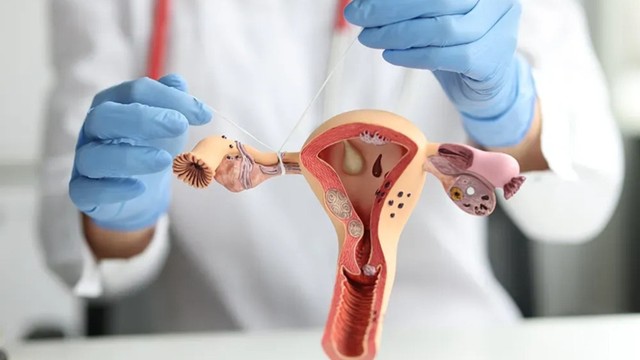 bai-viet/tac-voi-trung-co-rung-trung-khong-cac-phuong-phap-dieu-tri-tac-voi-trung.html