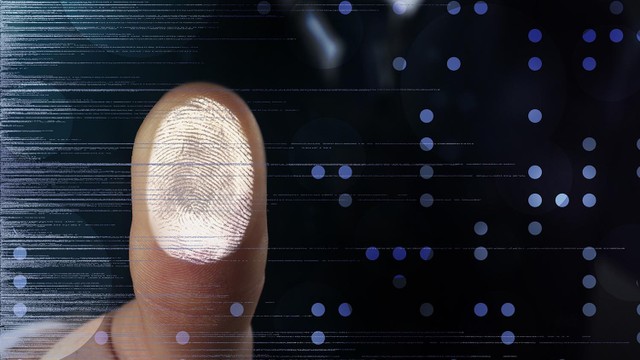 bai-viet/tai-sao-chung-ta-co-cac-duong-van-tay-67056.html