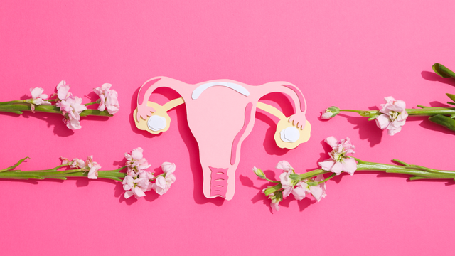 bai-viet/tai-sao-suc-khoe-phu-nu-can-duoc-uu-tien.html