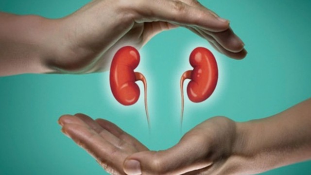 bai-viet/tang-thanh-thai-than-la-gi-va-nhung-thong-tin-can-biet-ve-tang-thanh-thai-than.html