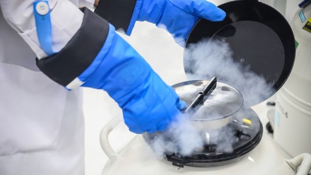 bai-viet/te-bao-goc-luu-tru-duoc-bao-lau-luu-tru-te-bao-goc-de-lam-gi.html