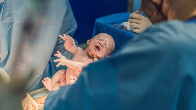 bai-viet/te-bao-goc-nhau-thai-va-nhung-dieu-can-biet.html