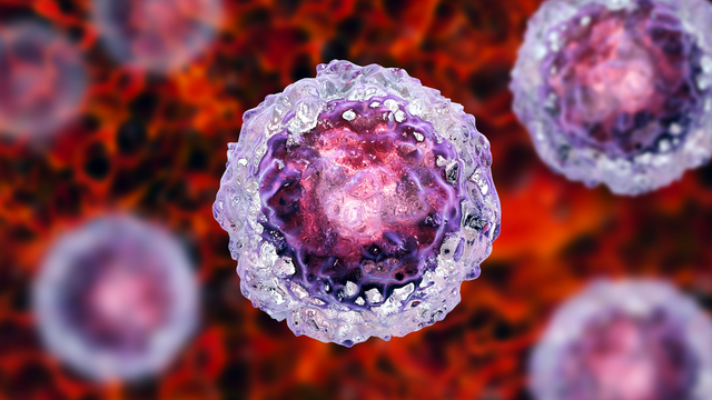 bai-viet/te-bao-ips-la-gi-cung-tim-hieu-ve-ips-te-bao-goc-da-nang-cam-ung.html