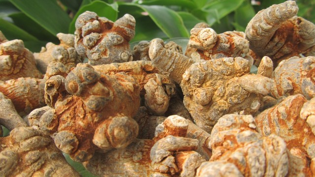 bai-viet/thac-mac-cu-tam-that-co-tac-dung-gi.html