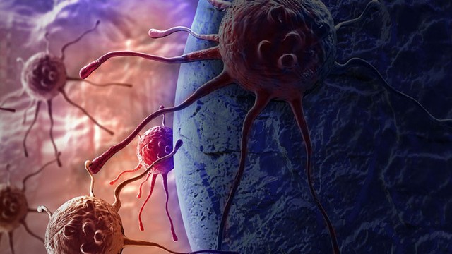 bai-viet/thac-mac-te-bao-ung-thu-thich-an-gi-nhat.html