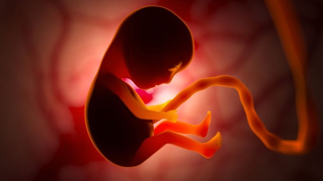 bai-viet/dac-diem-thai-nhi-moc-choi-mat-tren-hinh-anh-sieu-am.html